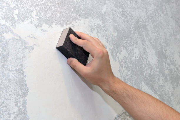 Best Mold Damage Restoration  in Pomeroy, WA