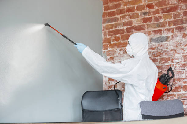 Best Mold Prevention Services  in Pomeroy, WA